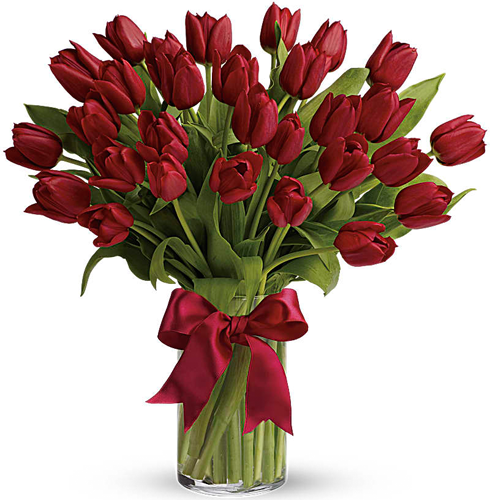 30 Red Tulips