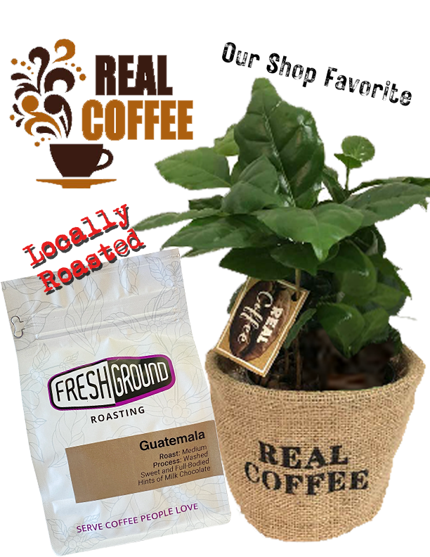 Real Coffee Gift / Guatemalan