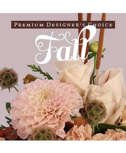 5 Fall Deal For Today